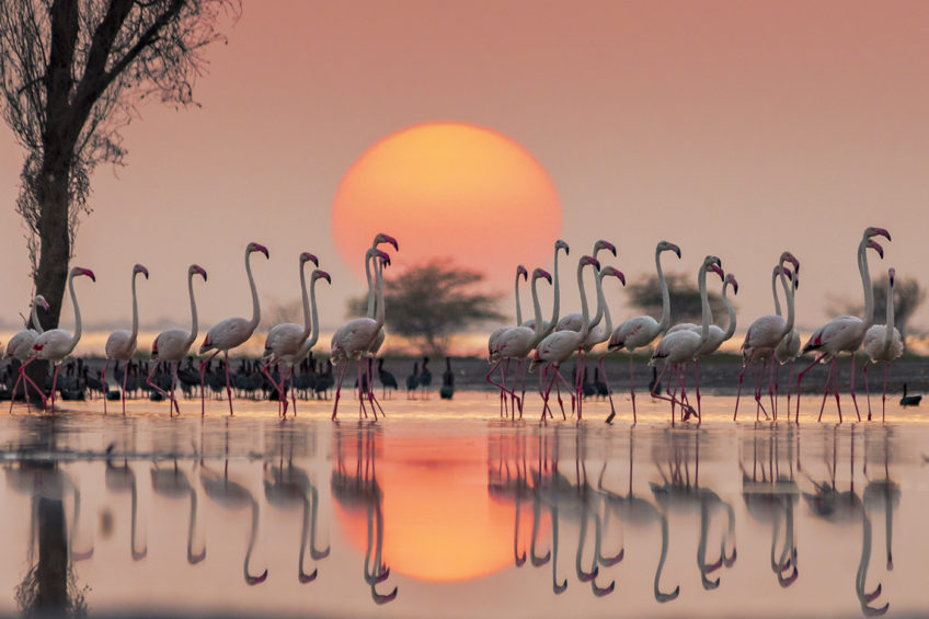 A_love_letter_to_the_setting_sun_file_1