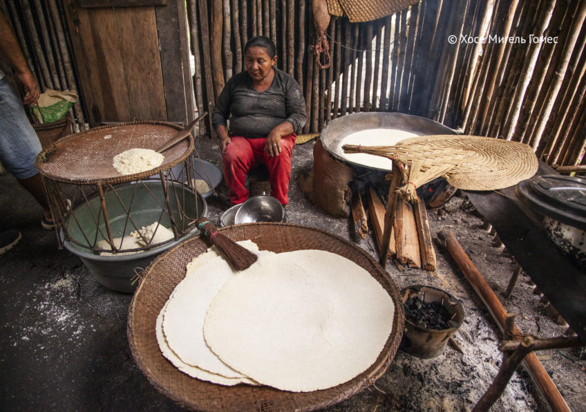 ru24. Indígena Puinave Prepara Casabe. Comunidad en los Cerros de Mavicure, Guainía 1